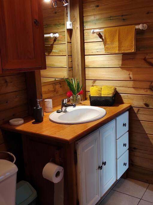 Le Tri Haut De Bellevue - Bungalow Heliconia Поант-Ноар Екстериор снимка